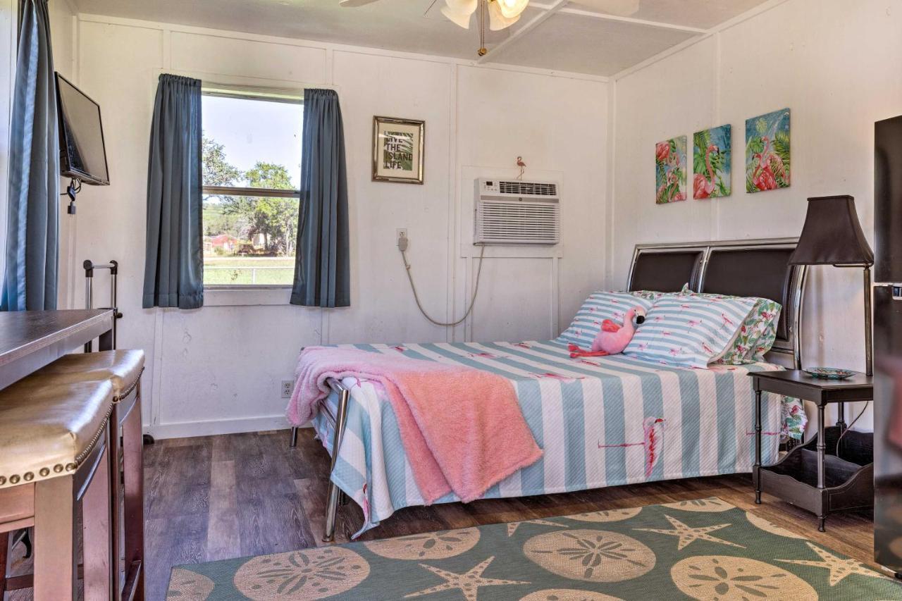Flirty Flamingo Studio 1 Mi To Canyon Lake Exterior foto